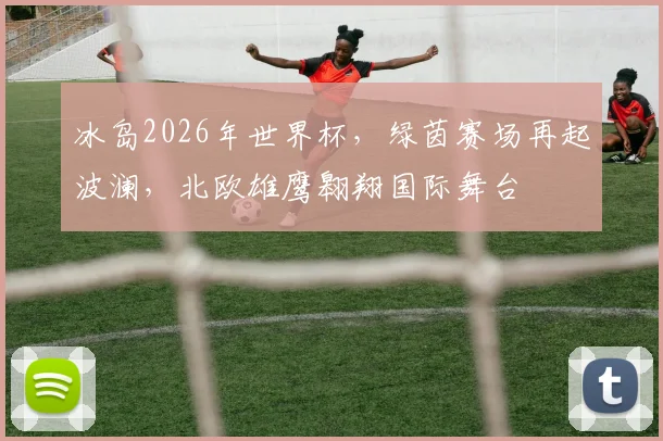 冰岛2026年世界杯，绿茵赛场再起波澜，北欧雄鹰翱翔国际舞台